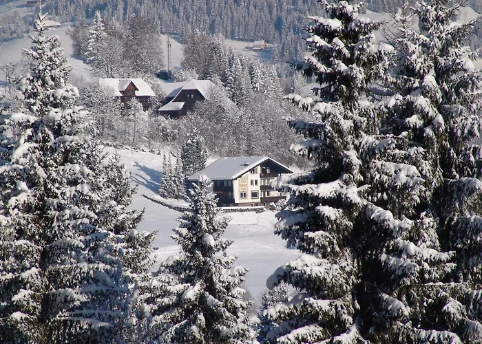 Cozy Apartment In Afritz Am See Near Gerlitzen Ski Area